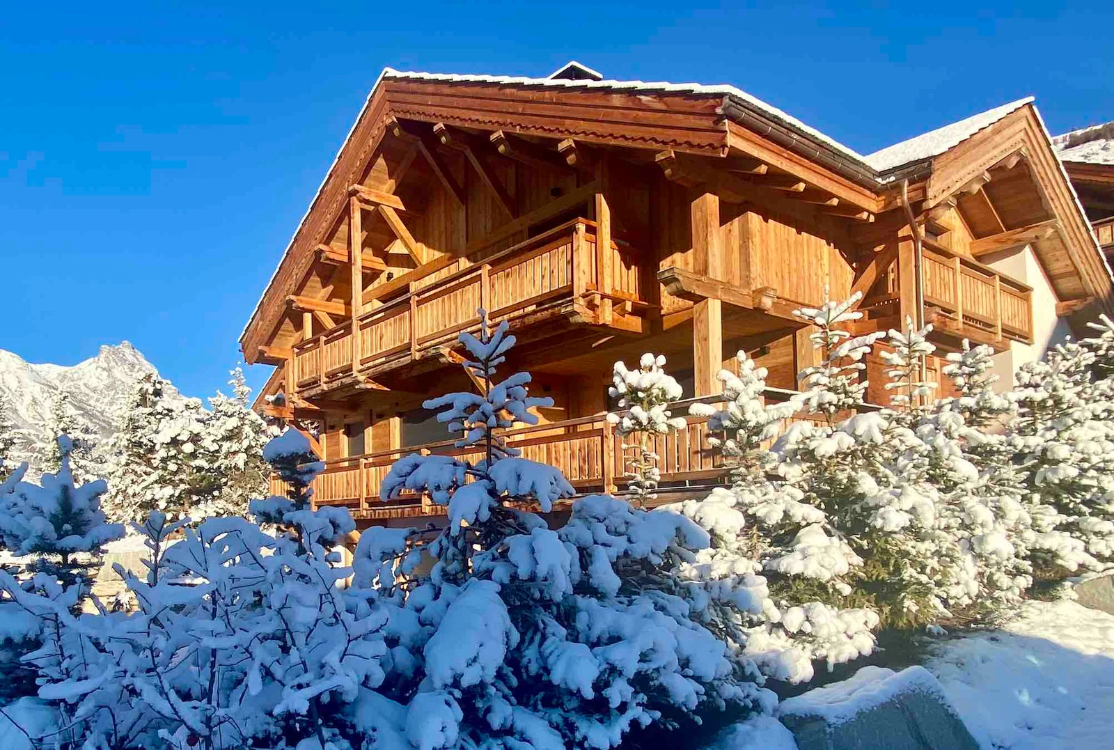 Chalet Le Flocon — façade du chalet sous la neige